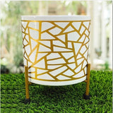 Metal Golden Print Pot  | Stand for Living Room,Balcony Decoration- Buy1 Get1 Offer