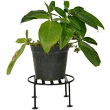 Metal Planters Stand with 4 Legs | Gamela Stand | Set of 8