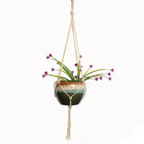 Plant Hanger Hook Flower Pot Holder Legs String Hanging Rope Hanging Wall Basket Ropes Vintage Macram Garden Balcony Decoration